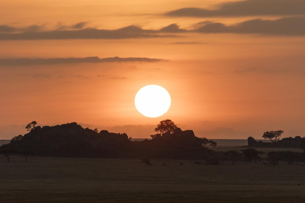 Melia Serengeti Lodge Bagian luar foto